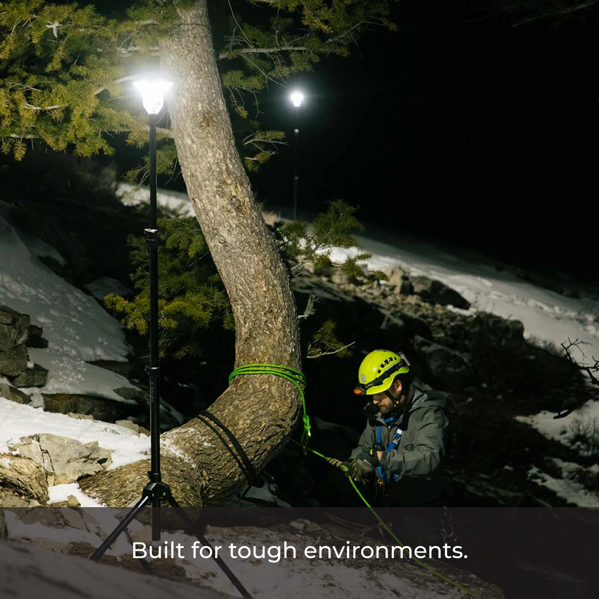 LightRanger 2000 set up near tree, showcasing powerful directional LED light in low-light conditions