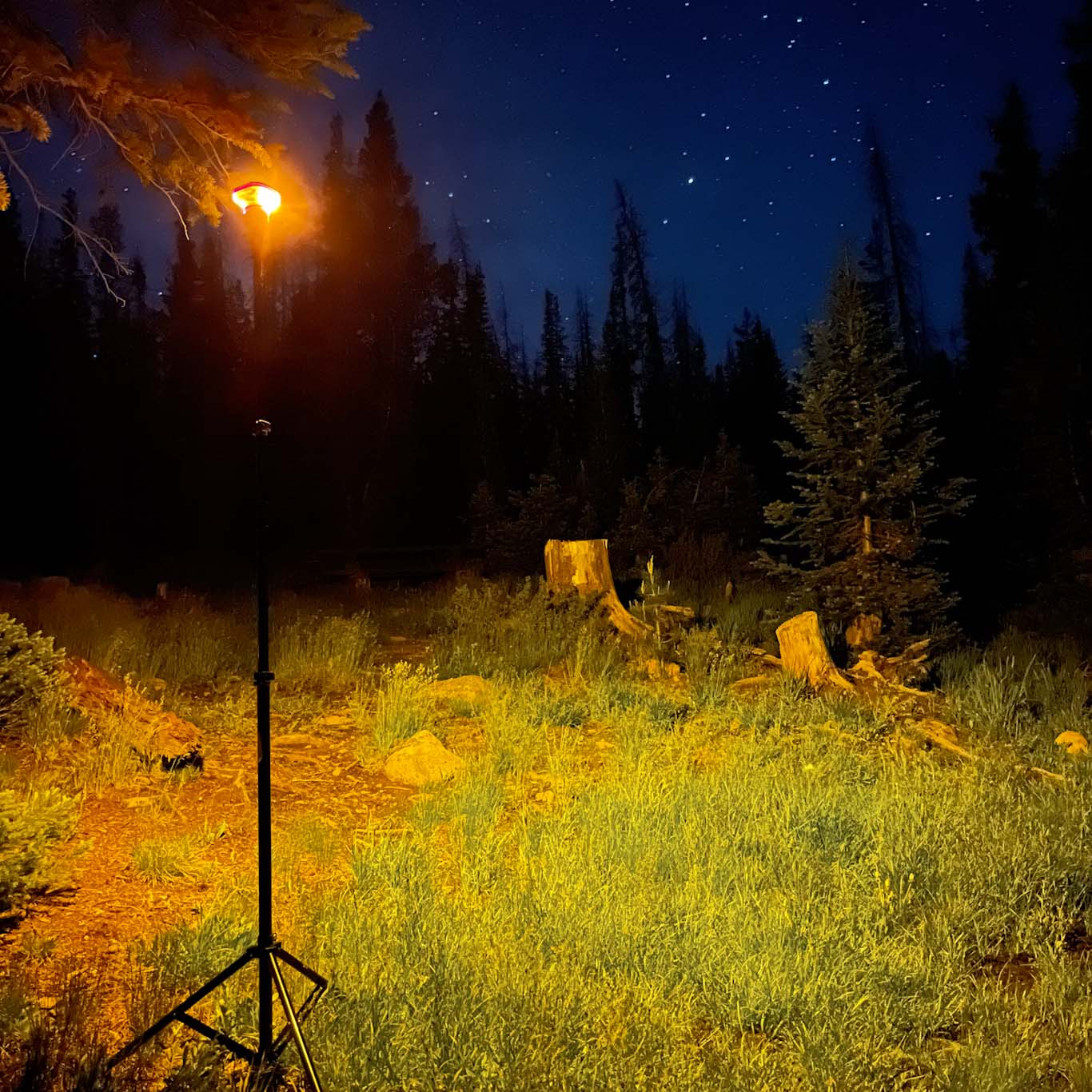 LightRanger 1200 Colored Filter Kit with Soft-White